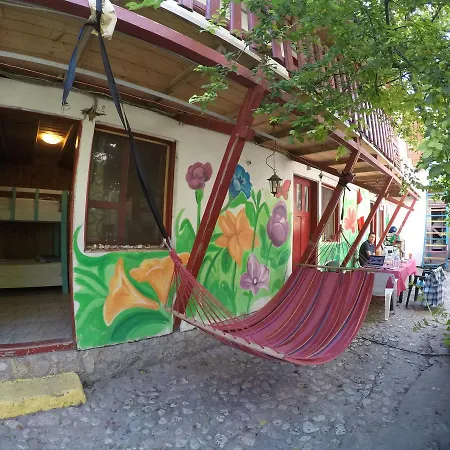 Auberge de jeunesse Vampire Beach